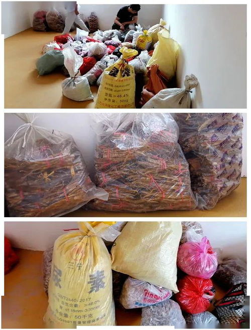 寧州鎮農副產品專業合作社緊張籌備不日開業，助力農副產品銷售提質增效