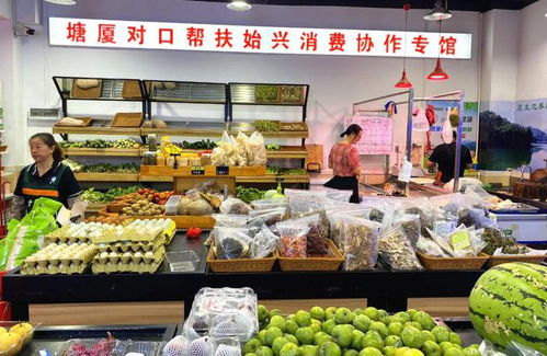 韶關(guān)始興百種優(yōu)質(zhì)農(nóng)副產(chǎn)品直達(dá)東莞塘廈，打開食品銷售新篇章