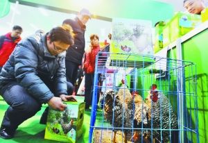 農(nóng)副產(chǎn)品直銷展銷會(huì) 800多種產(chǎn)品引近萬(wàn)市民“血拼”