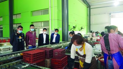 大冶市畜牧獸醫(yī)局 當(dāng)好“服務(wù)員”，助力涉牧企業(yè)復(fù)產(chǎn)增效，保障食品銷售安全順暢