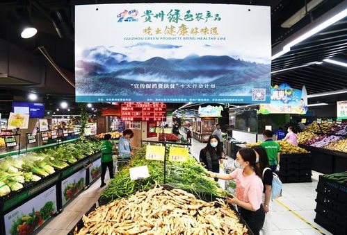 貴陽農村電商 為鄉村振興插上“金翅膀”，暢通農副產品銷售新渠道