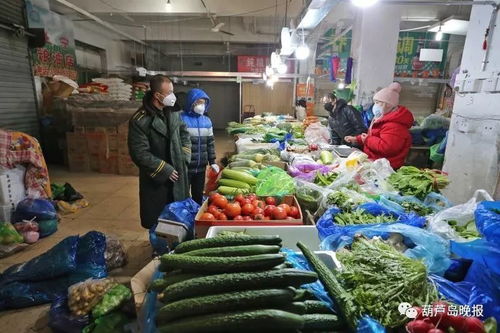 別忙著囤貨 葫蘆島農副產品市場儲備充足 價格平穩，供貨渠道暢通保民生